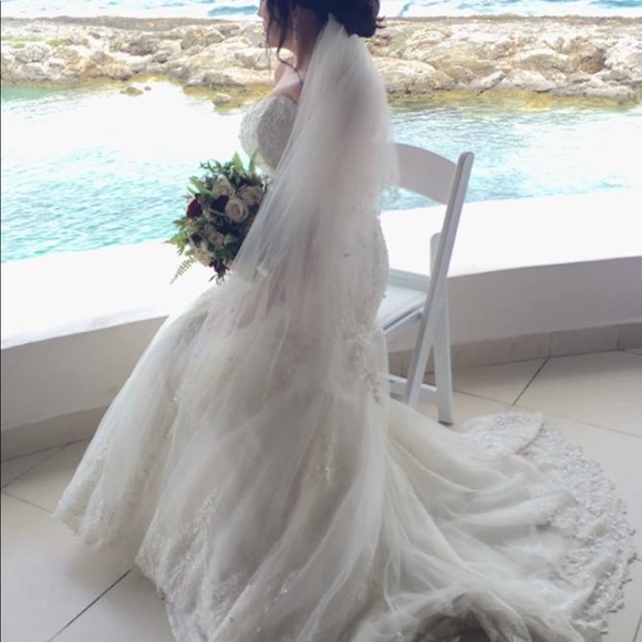 Bridal veil - Picture 4 of 7